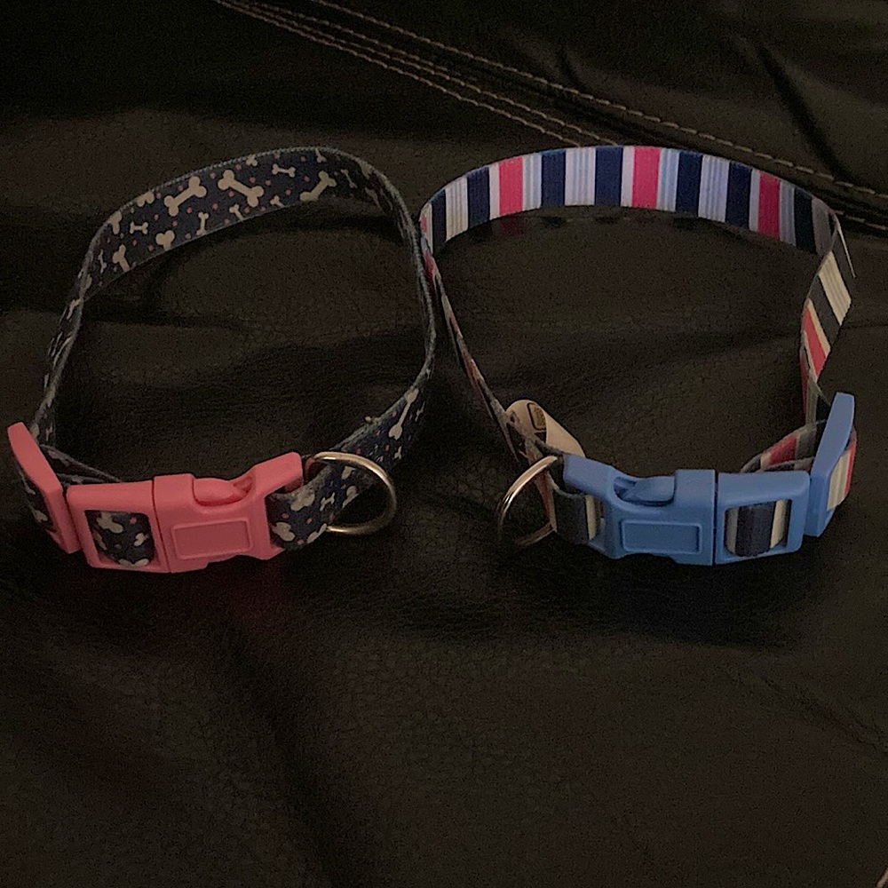 Dog collars small dogs